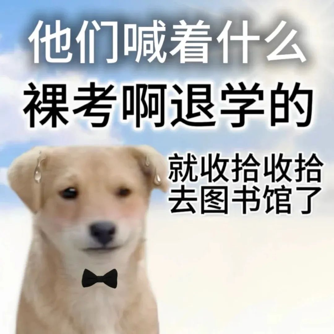 美本招生官亲述：为什么你满分GPA，Top20还是一秒拒掉你？  数据 第12张